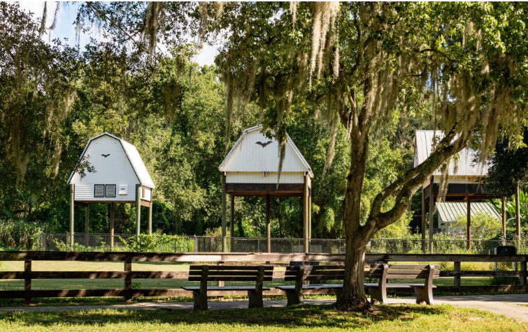 Two structures that look like car ports house bats